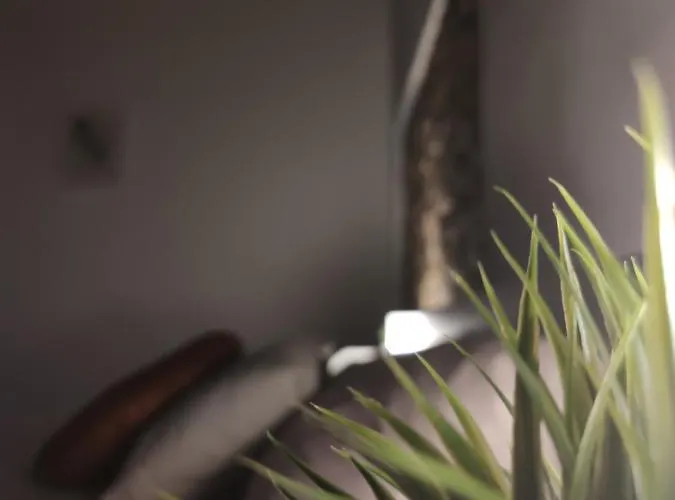 Dante's Dei Cerchi Affittacamere