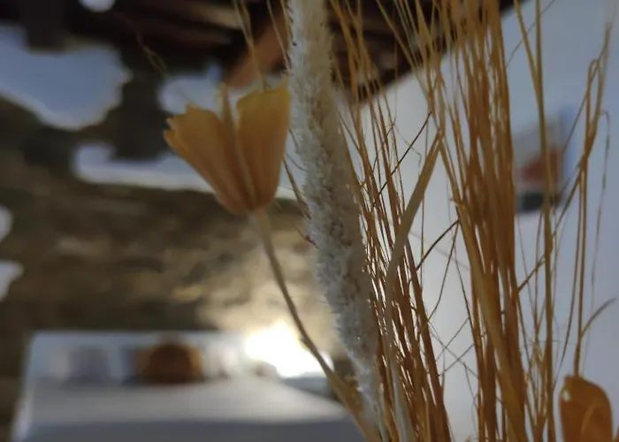 Dante's Dei Cerchi Affittacamere Firenze