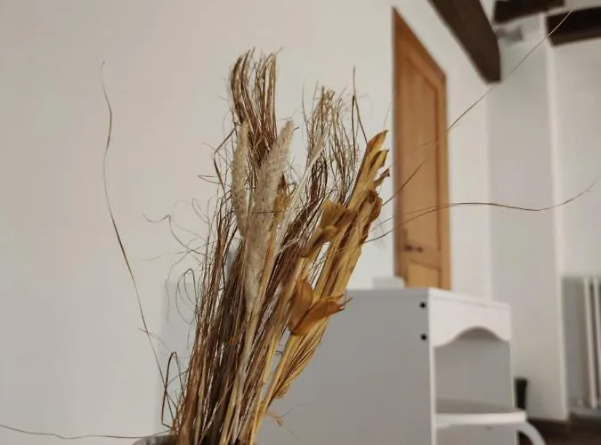 Dante's Dei Cerchi Affittacamere *