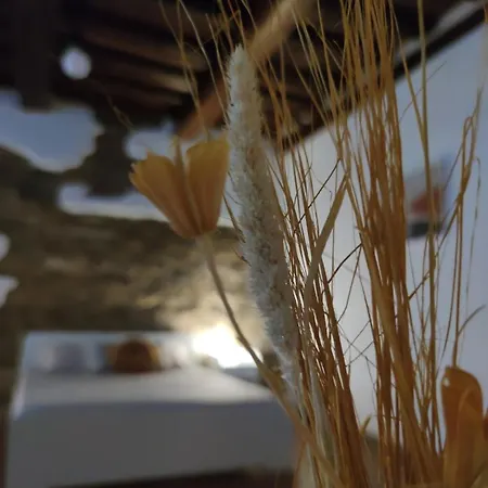 Dante's Dei Cerchi Gasthuis Florence